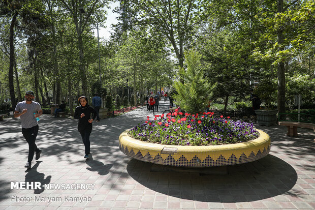 Tahran'da bahar çiçekleri