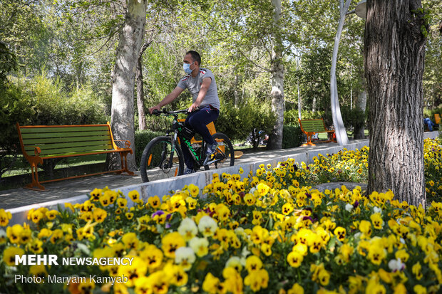منظر أزهار الربيع في مدينة طهران