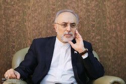 انقلاب اسلامی بنیانگذار منظومه «مقاومت» است / امام خمینی (ره) محی‌الدین زمان بود