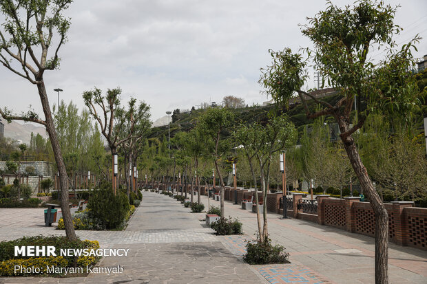 Tehran parks on National Nature Day