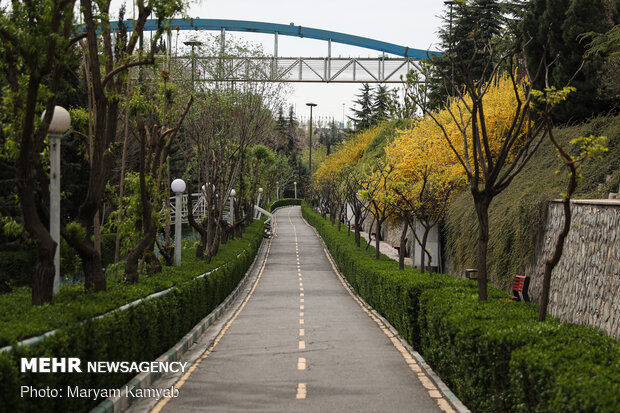 Tehran parks on National Nature Day