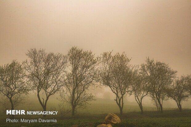 طوفان در راه یزد است/هشدار سطح نارنجی برای استان 