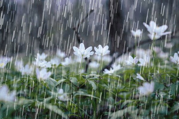 بارش ها در زنجان قوت می گیرد