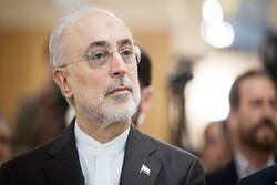 'Iran to boost nuclear acheivements under intl. regulations'