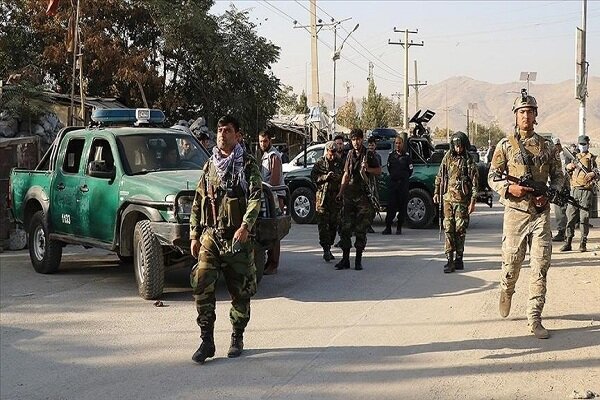 ۳۳۸ نفر از اعضای طالبان در ۱۰ ولایت افغانستان کشته و زخمی شدند