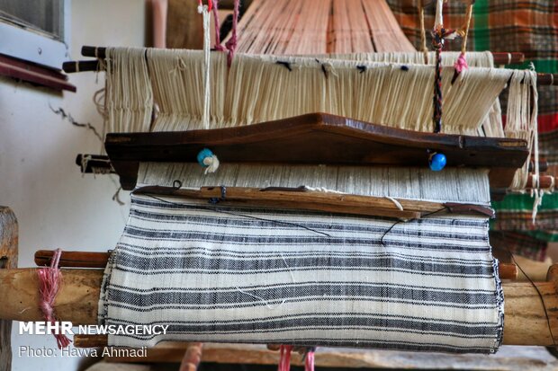 Tablecloth weaving in Mazandaran