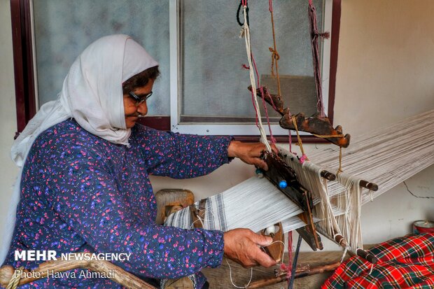 Tablecloth weaving in Mazandaran