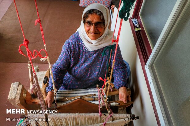 Tablecloth weaving in Mazandaran