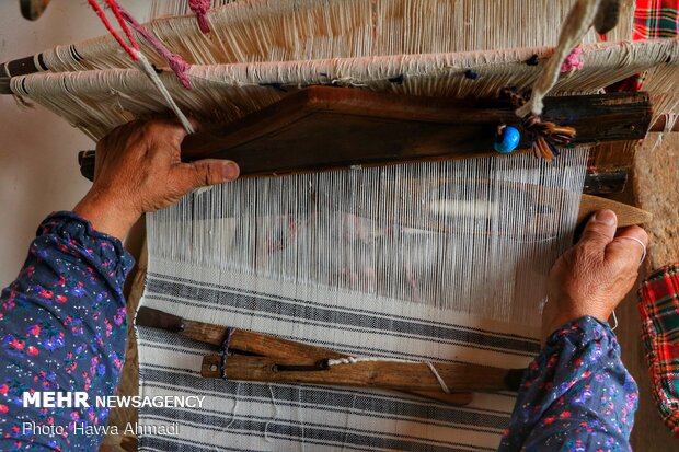 Tablecloth weaving in Mazandaran