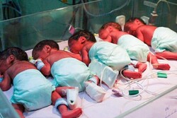 ۵ قلوهای پسر و دختر در شیراز به دنیا آمدند
