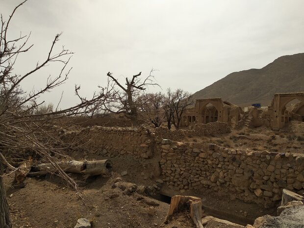  ۳۰۰۰ اصله درخت با فعالیت معدنی در شرق اصفهان خشک شد
