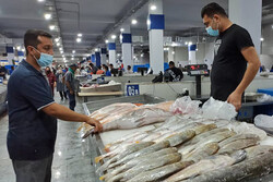 قیمت انواع ماهی امروز شنبه چهارم تیرماه ۱۴۰۱