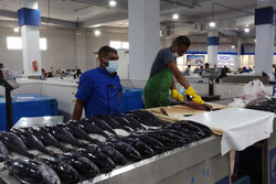 قیمت انواع ماهی امروز سه‌شنبه هفتم تیرماه ۱۴۰۱
