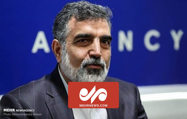 جزئیات آسیب دیدگی سخنگوی سازمان انرژی اتمی