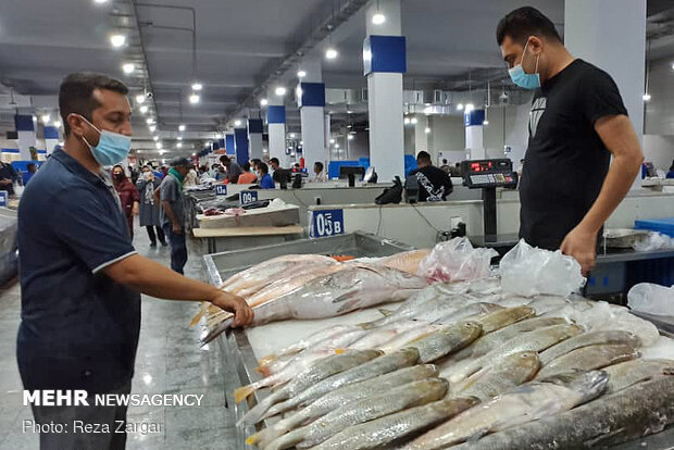 بازار ماهی فروشان بندرعباس