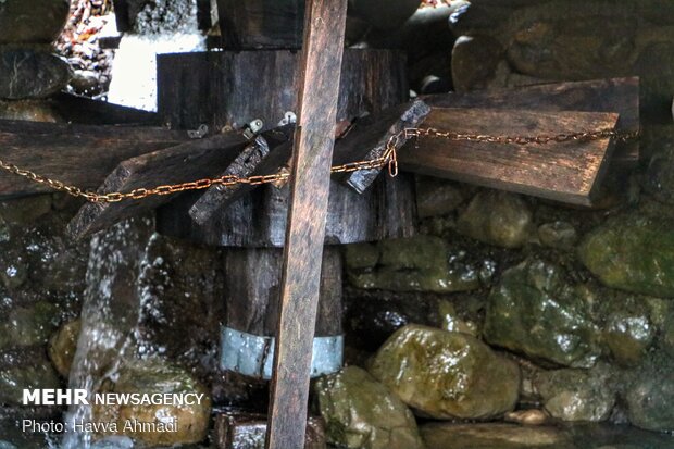 چل آسیاب ، توربین که جنس آن از چوب بلوط می باشد و وسط آن میل و آهن قرار دارد. توسط این چل سنگ آسیاب می چرخد.