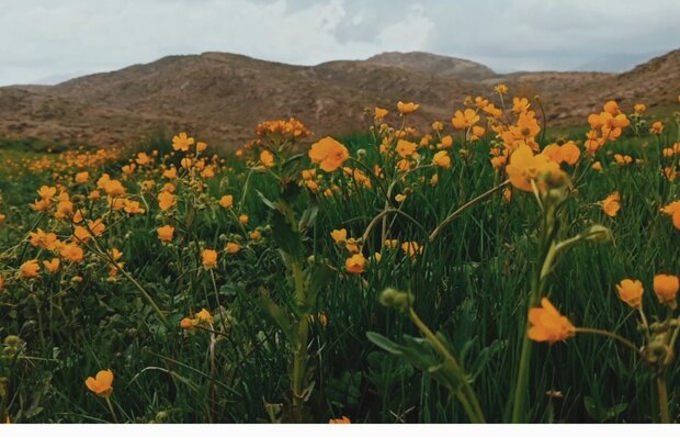 VIDEO: Beatufil nature of 'Kakan' region in Spring