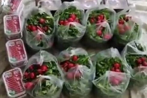هدیه گروه دختران نور بجنورد به چند روزه اولی/ توزیع افطاری ساده