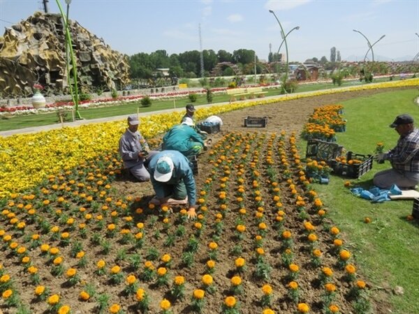 تعداد بوستان های شهر رفسنجان به ۷۵ مورد افزایش می یابد