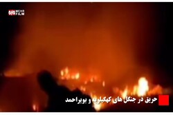 جنگل های کوه سیاه شهرستان چرام دچار آتش سوزی شد