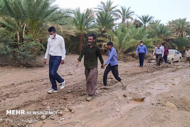 بروز سیلاب در شهرستان قلعه گنج/جاری شدن رودخانه ها پس از یک سال