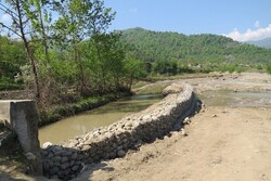 مرحله چهارم آبگذاری شالیزارهای مناطق شرق گیلان آغاز شد
