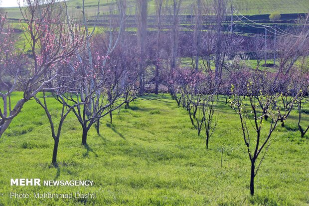 Beautiful nature of Ardabil with breathtaking views in spring