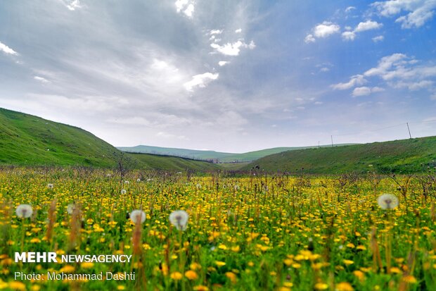 Beautiful nature of Ardabil with breathtaking views in spring