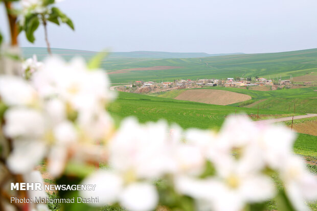 Beautiful nature of Ardabil with breathtaking views in spring