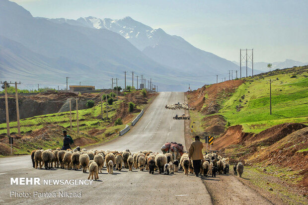 غربالگری عشایر در مبادی ورودی استان چهارمحال و بختیاری