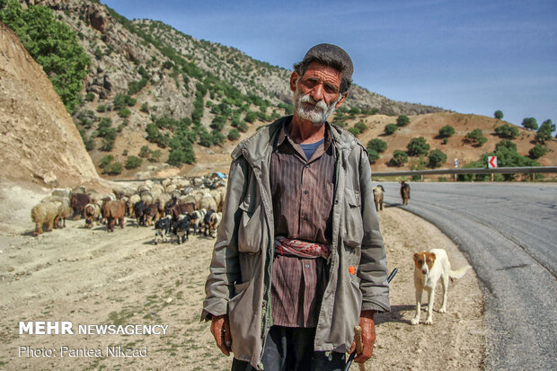 غربالگری عشایر در مبادی ورودی استان چهارمحال و بختیاری