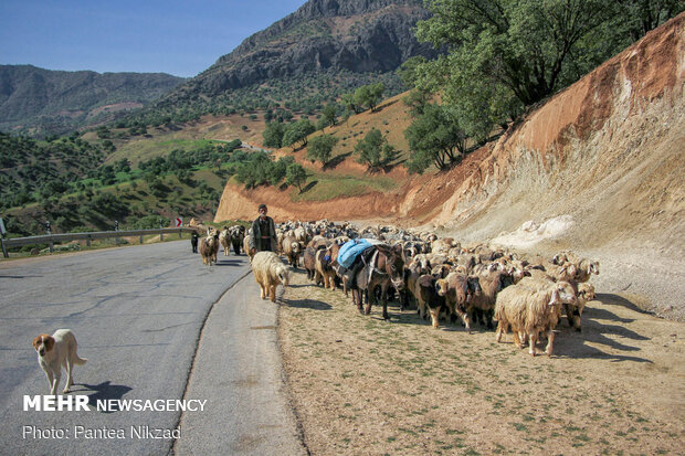 غربالگری عشایر در مبادی ورودی استان چهارمحال و بختیاری