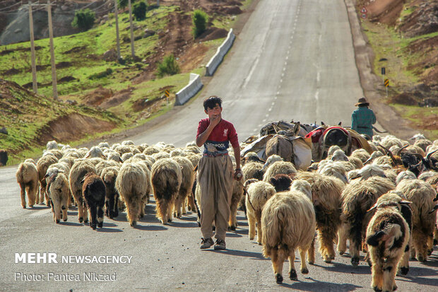 غربالگری عشایر در مبادی ورودی استان چهارمحال و بختیاری