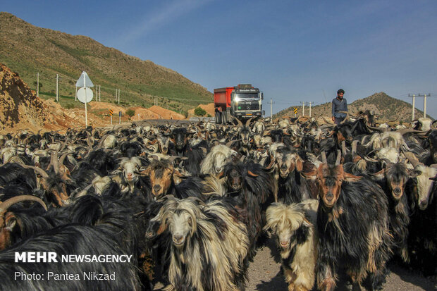 غربالگری عشایر در مبادی ورودی استان چهارمحال و بختیاری