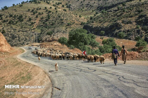 غربالگری عشایر در مبادی ورودی استان چهارمحال و بختیاری