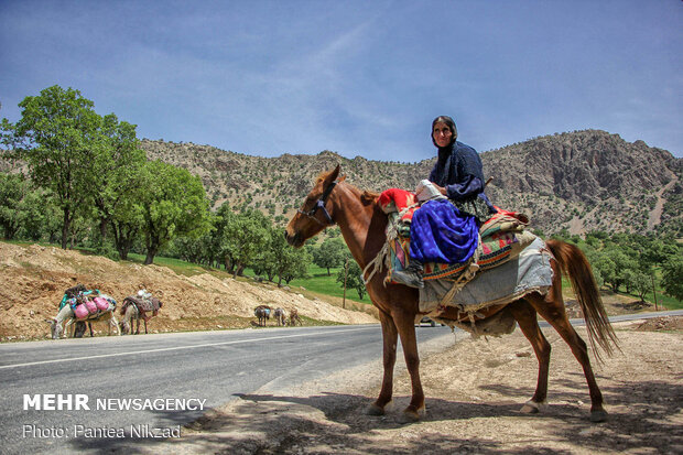 غربالگری عشایر در مبادی ورودی استان چهارمحال و بختیاری