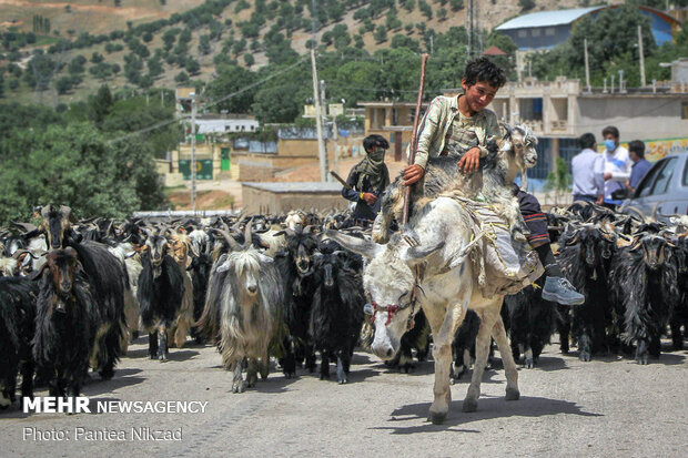 غربالگری عشایر در مبادی ورودی استان چهارمحال و بختیاری