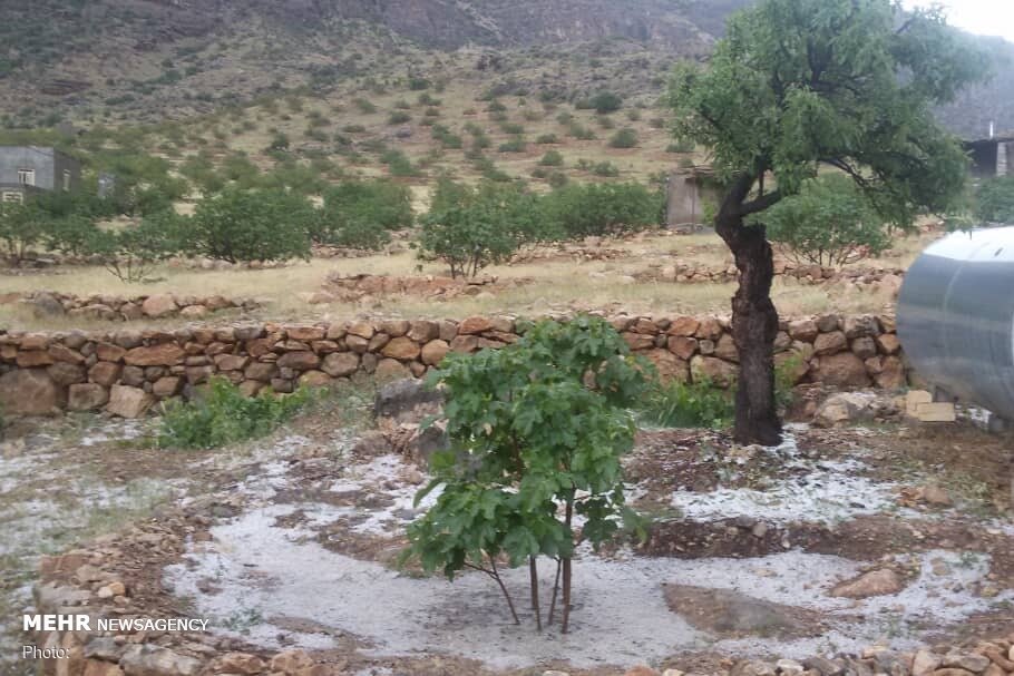 تگرگ ۴ هزار میلیارد تومان به بخش کشاورزی آذربایجان غربی خسارت زد