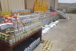 کشف انبار بزرگ داروهای دامی قاچاق و غیر مجاز در کردستان
