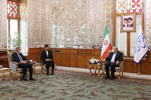 پاکستانی وزیر خارجہ کی ایرانی اسپیکر سے ملاقات/ سرحدی مارکیٹوں  کے افتتاح پر تاکید