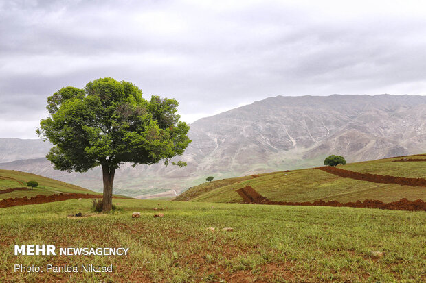Eye-catching nature of Chaharmahal & Bakhtiari Province