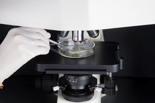 میکروسکوپ‌های «رامان» با کاربرد در علوم جنایی تولید شد