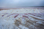 ۲ میلیون هکتار دریاچه نمک به کانون گرد و غبار تبدیل شد