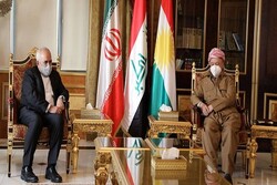 ظریف با «مسعود بارزانی» دیدار کرد