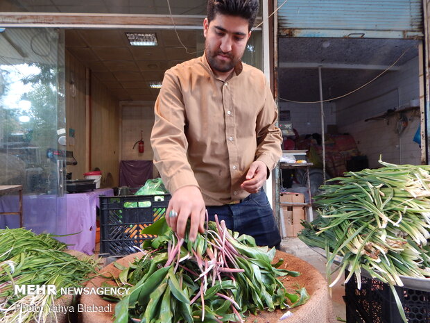 سفره رنگارنگ بهاری برای کرمانشاهیان