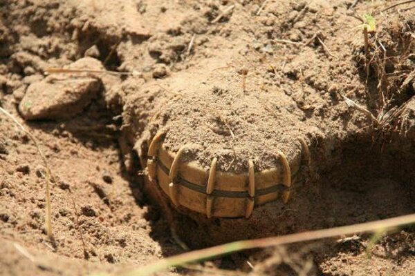 آموزش خطرات مین به مهاجران افغانستانی در مرز دوغارون