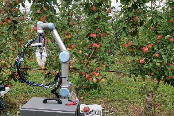 تولید رباتی که با سرعت انسان میوه می چیند