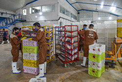 ارسال روزانه ۲۰ هزار تن محصول از مازندران به کشور