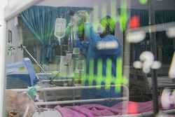 وضعیت وخیم ۱۴۴ بیمار مبتلا به کرونا در استان فارس
