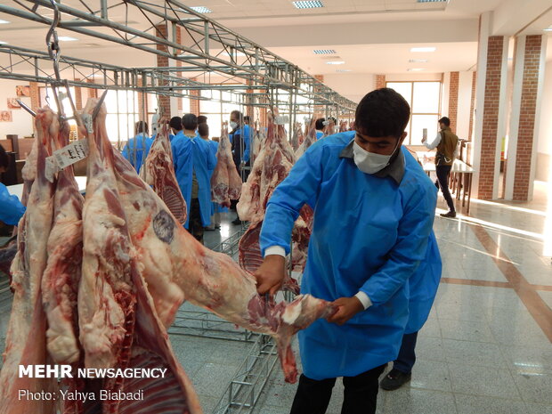 ذبح و توزیع  ۱۴۲ راس گوسفند در بین نیازمندان کرمانشاهی